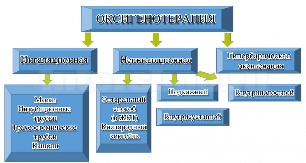 Процесс дыхания